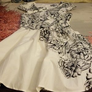 Beautiful Dress NWOT